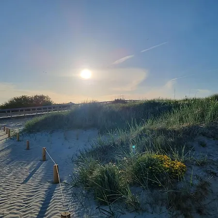 Lüttje Uttiet Mit Eingezäunten Garten Berumbur