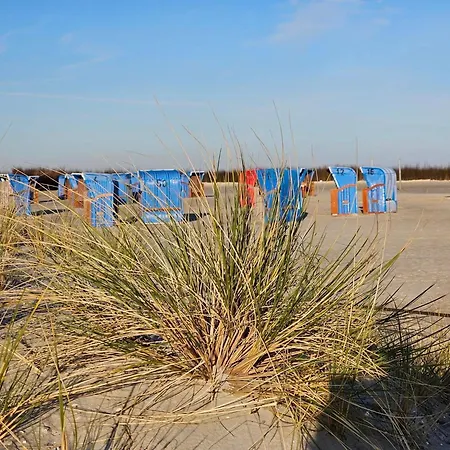 Lüttje Uttiet Mit Eingezäunten Garten Ferienhaus *
