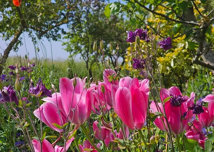 Luettje Uttiet Mit Eingezaeunten Garten Feriehus *
