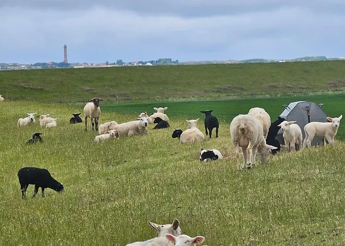Luettje Uttiet Mit Eingezaeunten Garten Berumbur